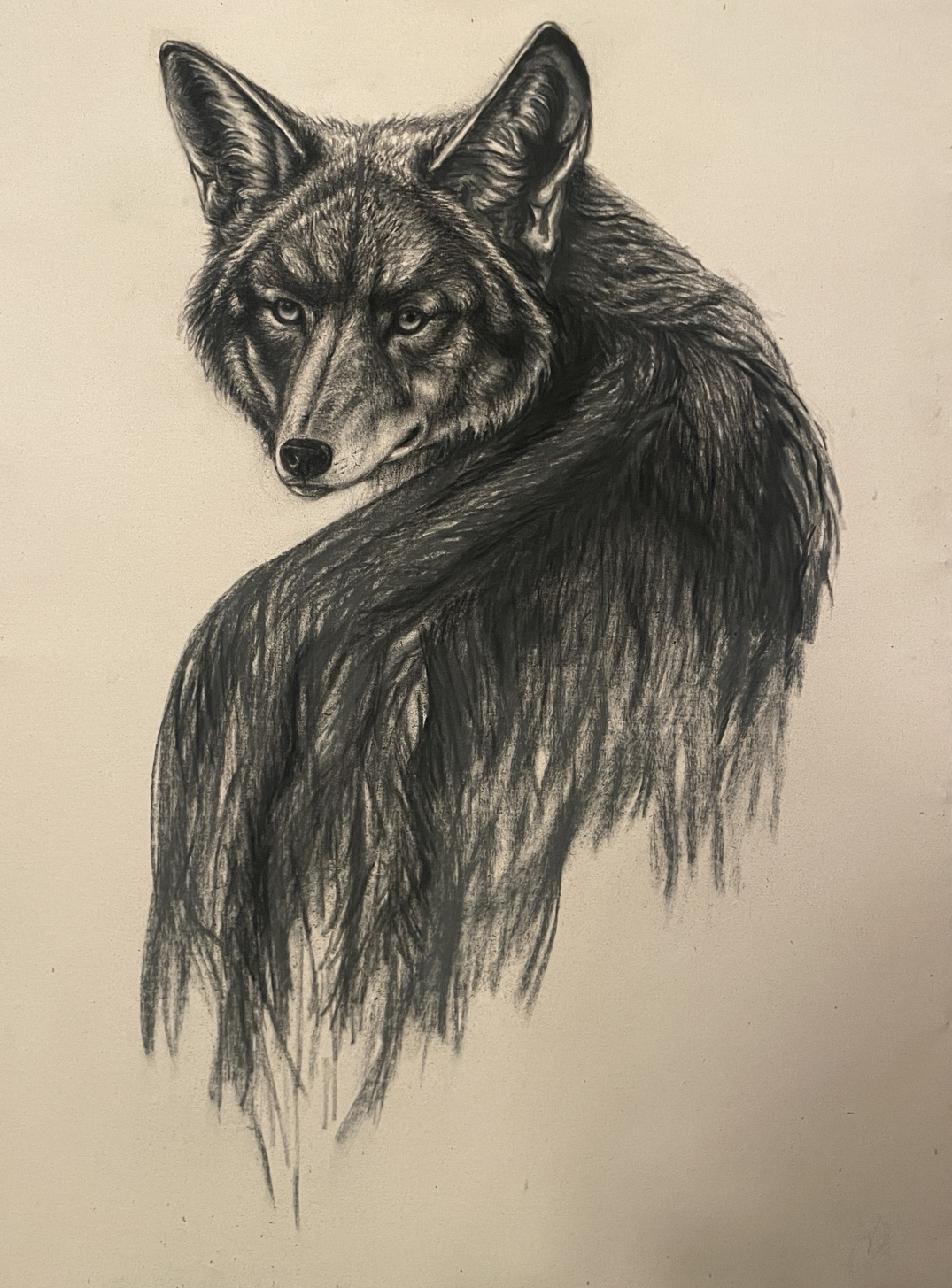 Like Smoke — charcoal artwork by Amanda F.
